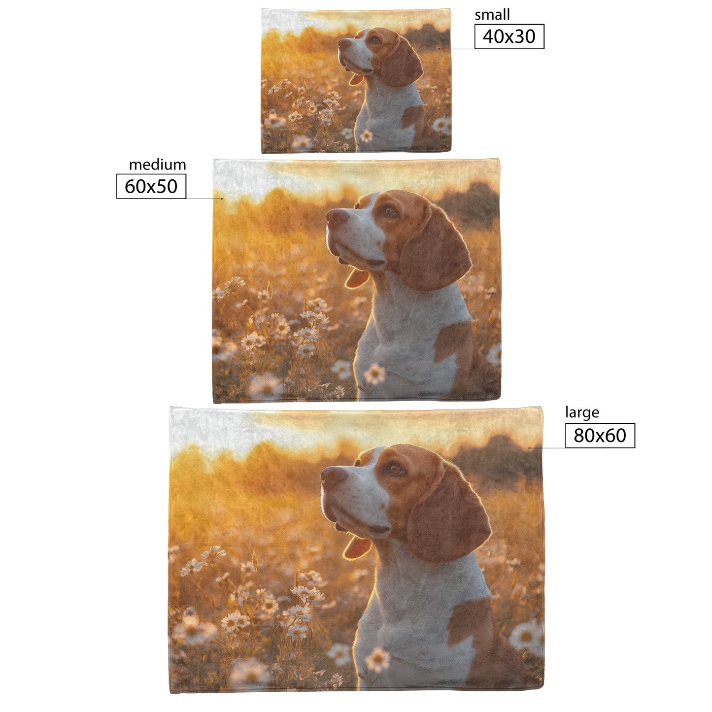 Basset Hound Sitting in Blooming Meadow with Golden Sunlight on Floppy Ears Fleece Sherpa Blanket - Awakening Righteousness