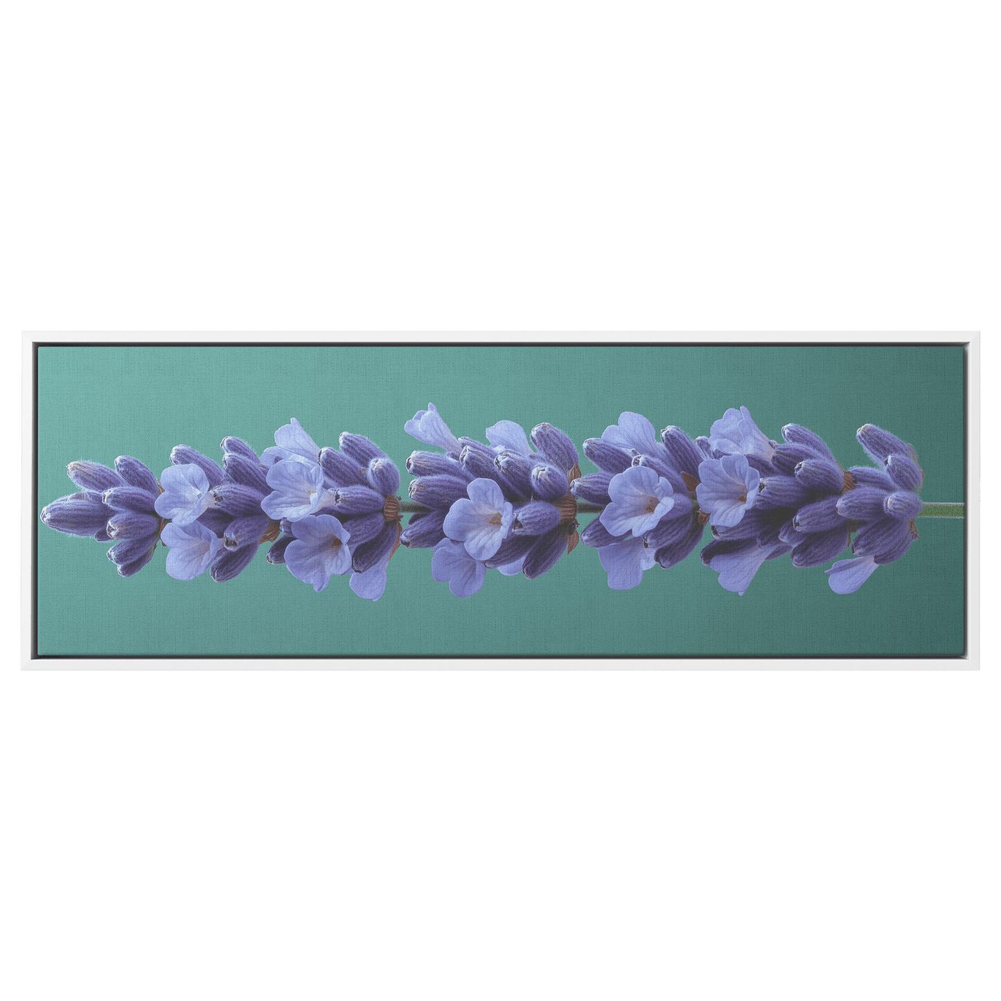 Minimalist Single Stem Floral Artwork Lavender Simple Linework Soft Green Background Elegant Minimalism Ultra High Definition Panoramic Framed Canvas Wall Art - Awakening Righteousness