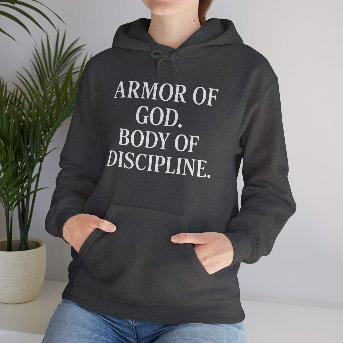 Armor Of God, Body of Discipline Awakening Righteousness Hoody Apparel For Men and Women - Awakening Righteousness