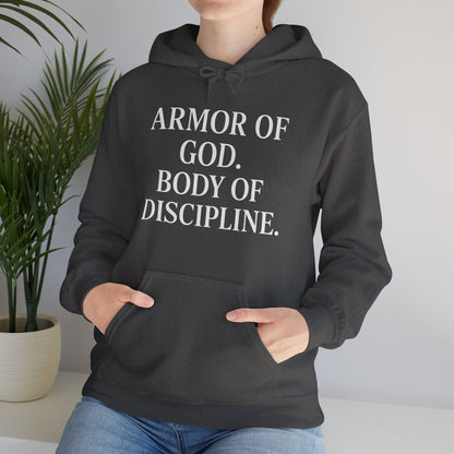 Armor Of God, Body of Discipline Awakening Righteousness Hoody Apparel For Men and Women - Awakening Righteousness