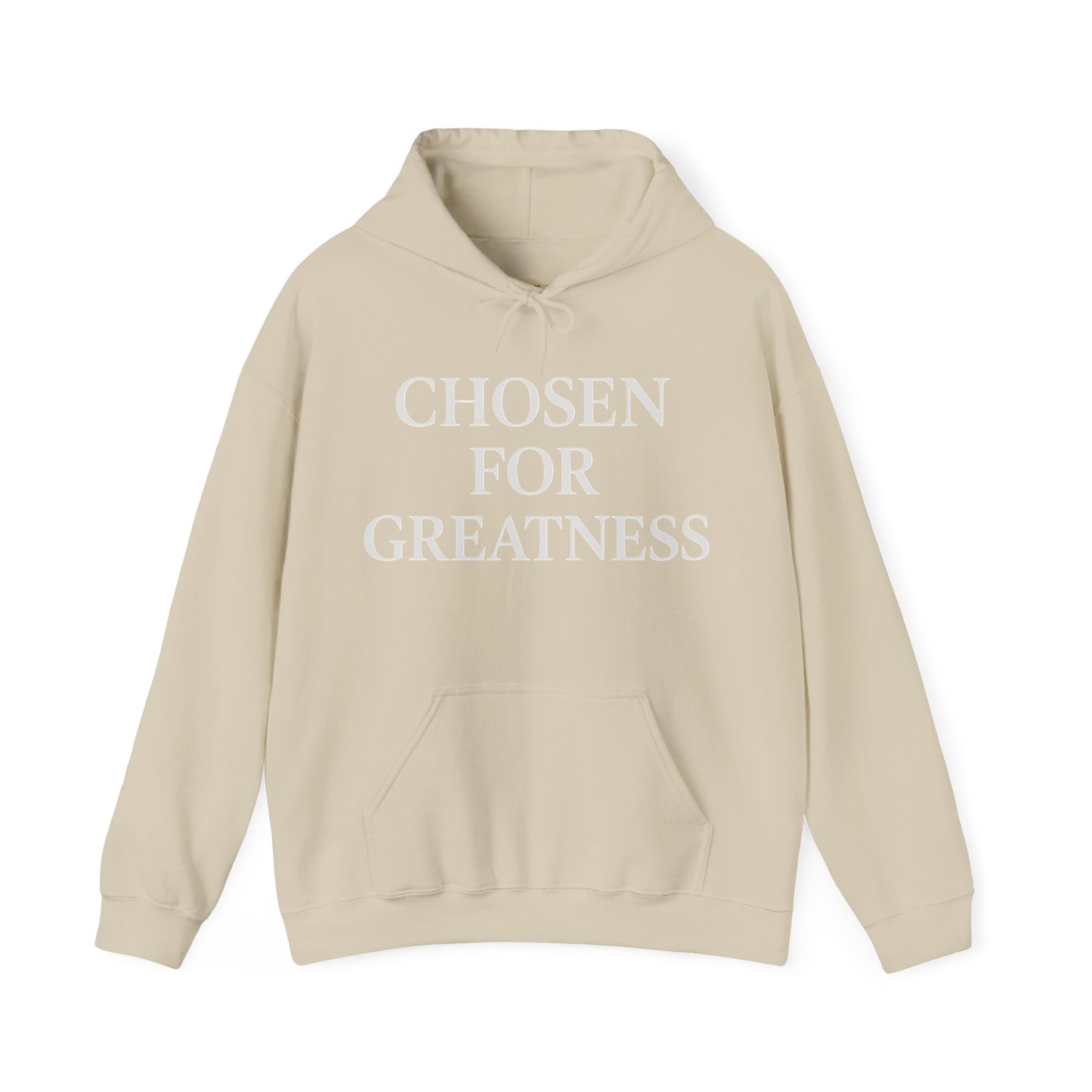 Chosen For Greatness Awakening Righteousness Hoody Apparel For Men and Women