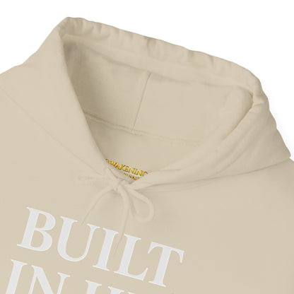 Built In His Image Awakening Righteousness Hoody Apparel For Men and Women