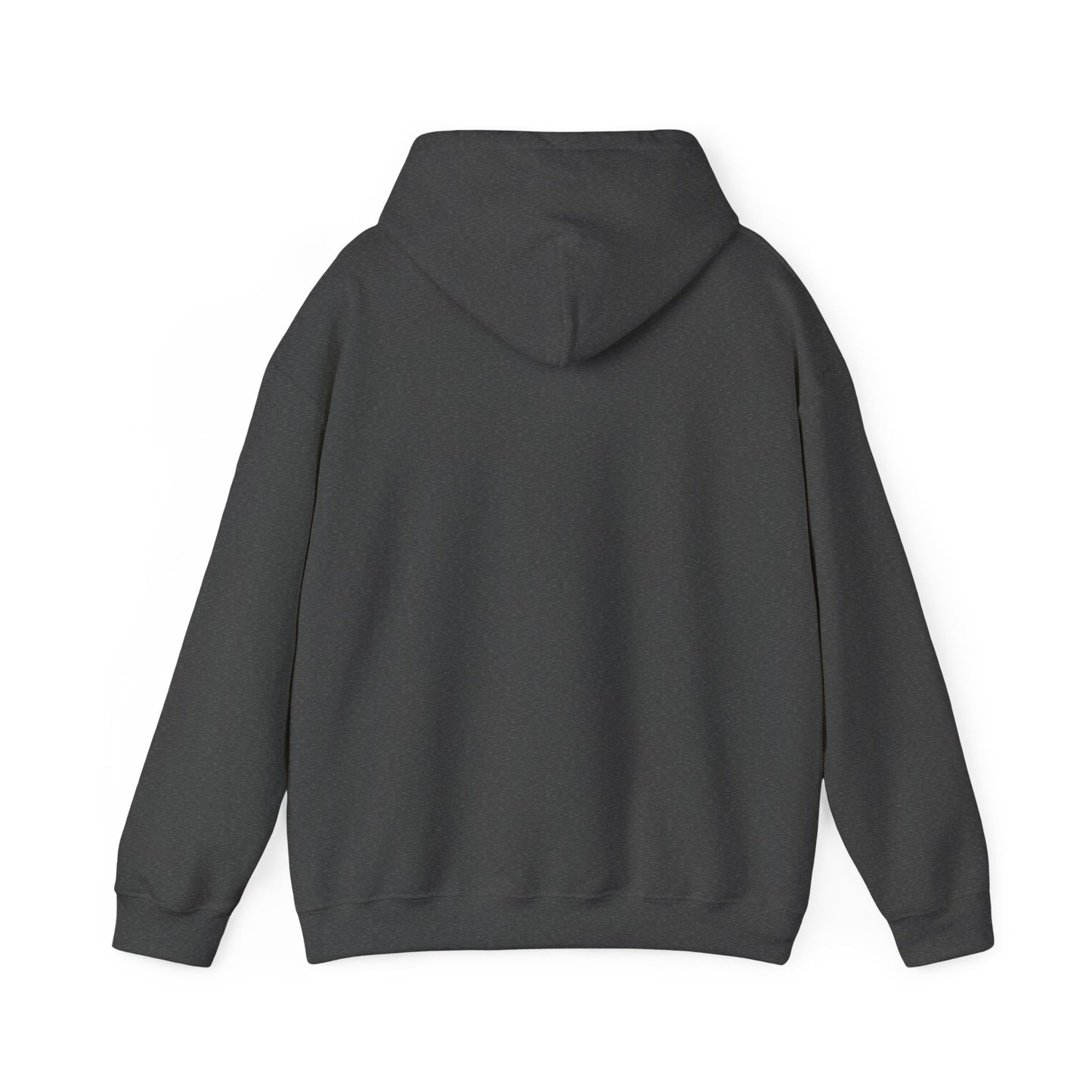 Conquer Yourself Awakening Righteousness Hoody For Men and Women - Awakening Righteousness