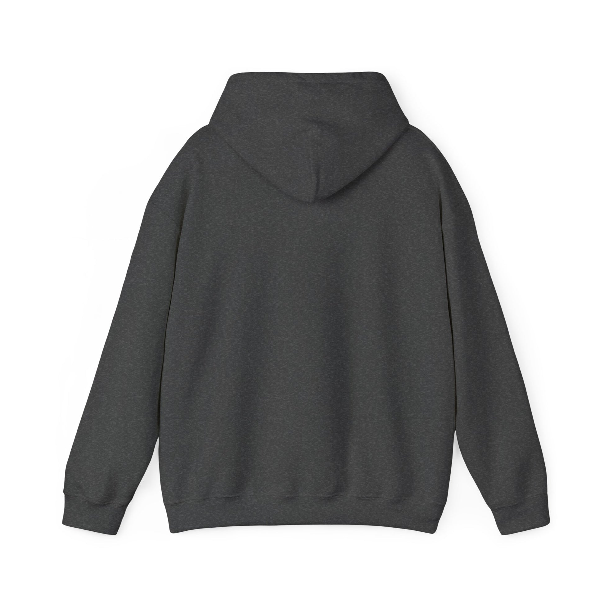 Conquer Yourself Awakening Righteousness Hoody For Men and Women - Awakening Righteousness