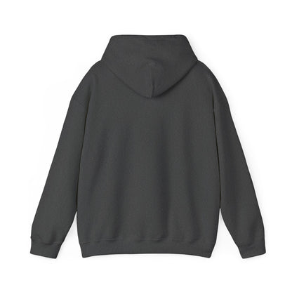Conquer Yourself Awakening Righteousness Hoody For Men and Women - Awakening Righteousness
