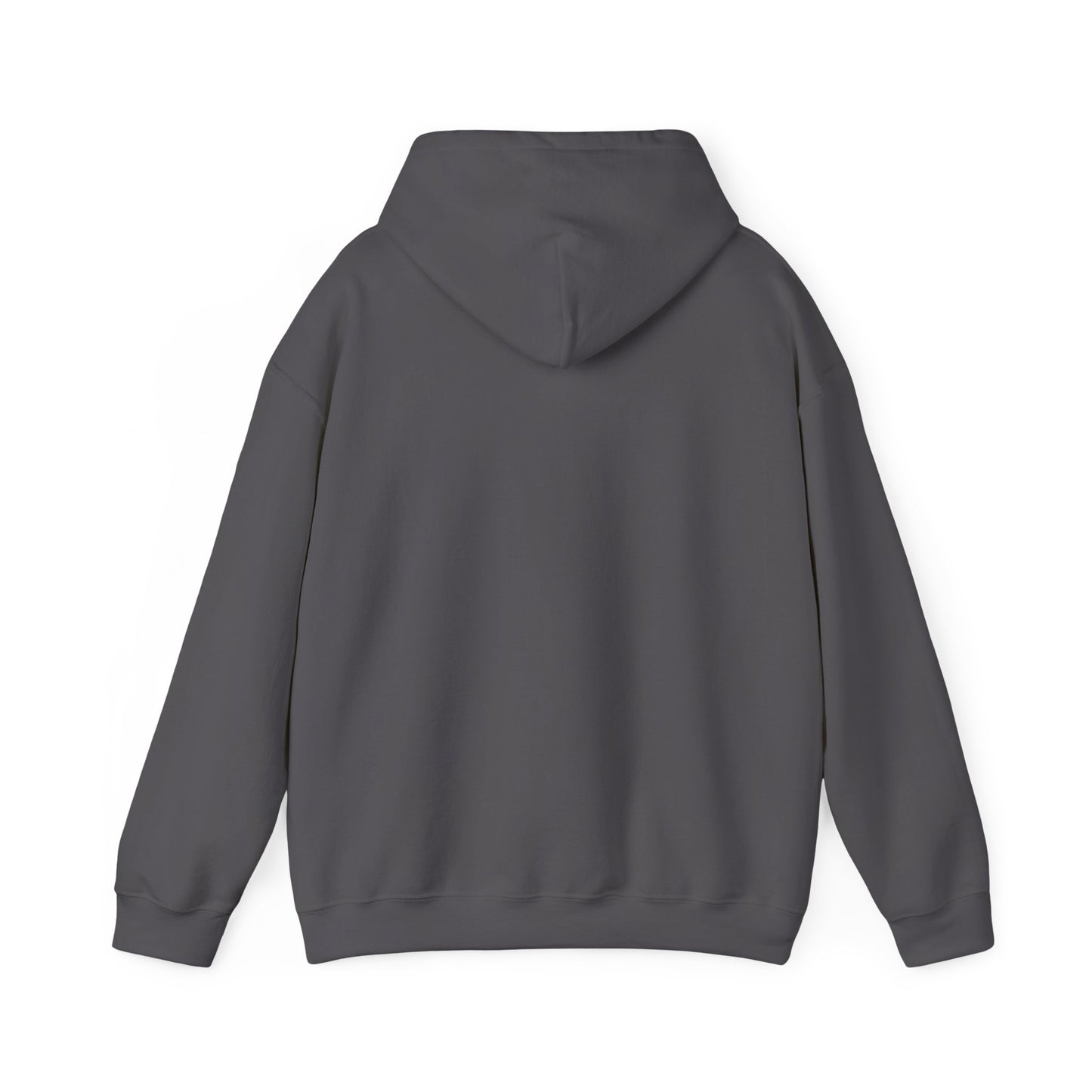 Stronger Every Day Awakening Righteousness Hoody Apparel For Men and Women