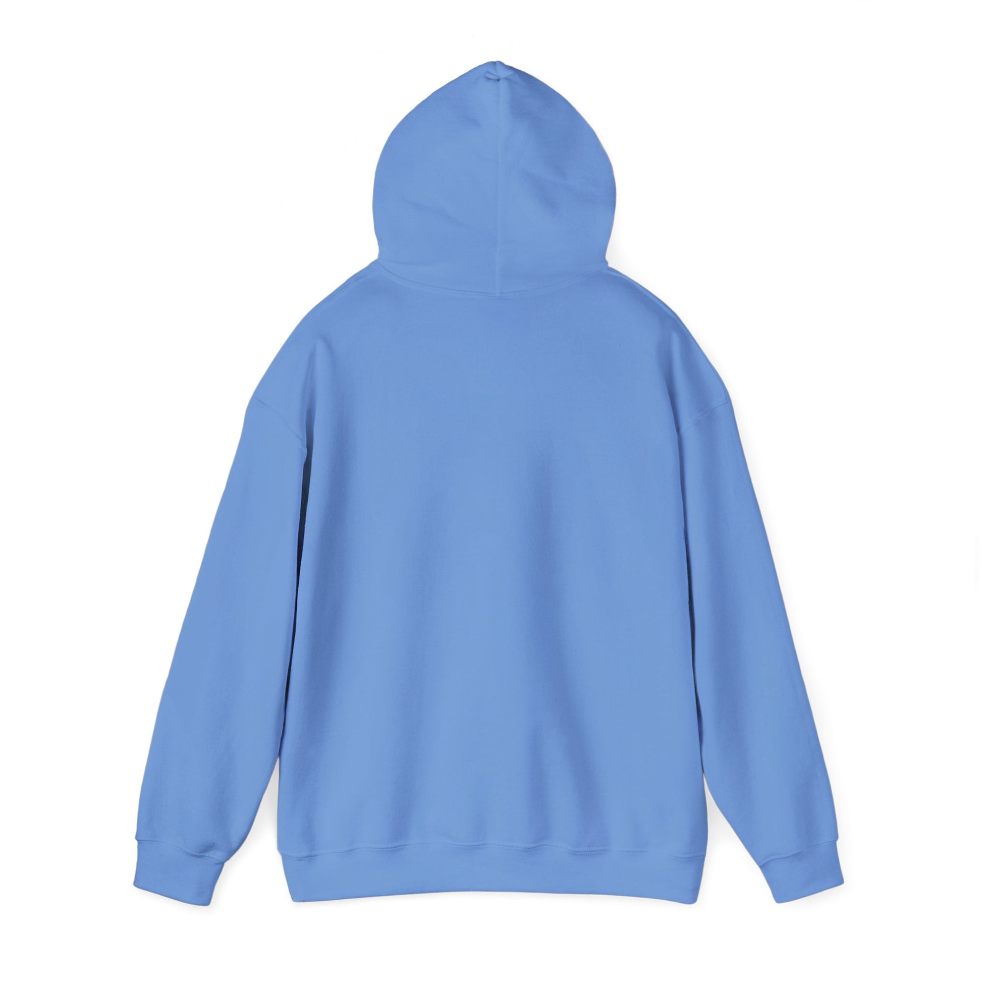 Armor Of God, Body of Discipline Awakening Righteousness Hoody Apparel For Men and Women - Awakening Righteousness