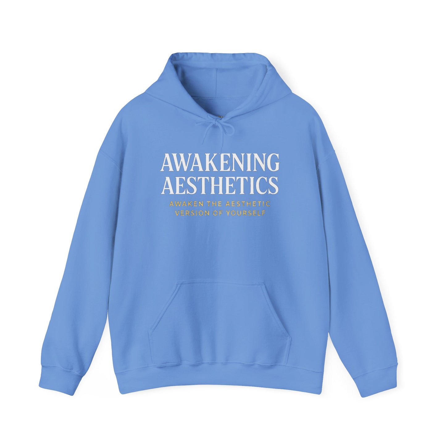 Awakening Aesthetics Bodybuilding Hoodie - Awakening Righteousness