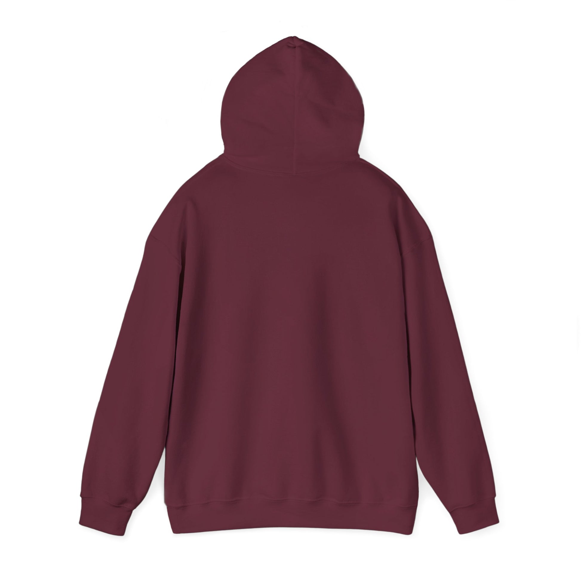 Built By Faith - Train with Purpose Awakening Righteousness Hoody Apparel For Men and Women - Awakening Righteousness
