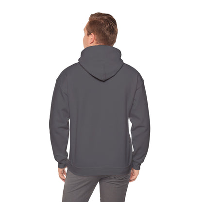 Awakening Aesthetics Bodybuilding Hoodie - Awakening Righteousness