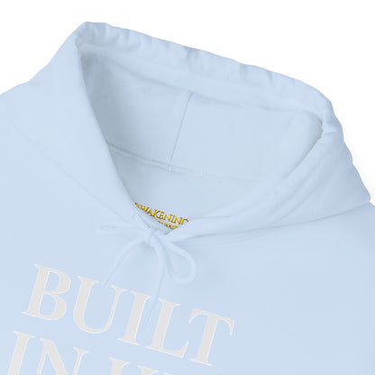 Built In His Image Awakening Righteousness Hoody Apparel For Men and Women