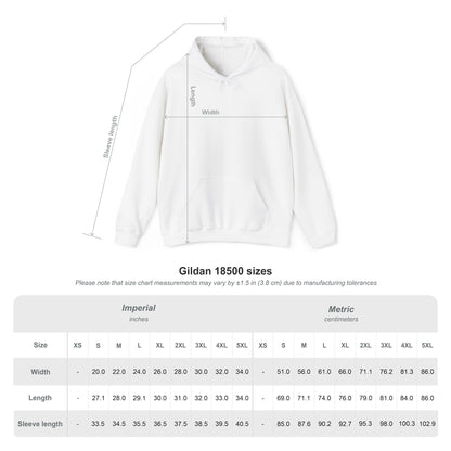 Awakening Aesthetics Bodybuilding Hoodie - Awakening Righteousness
