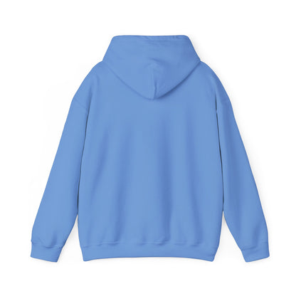 Purpose Over Pleasure Awakening Righteousness Hoody Apparel For Men and Women