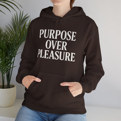 Purpose Over Pleasure Awakening Righteousness Hoody Apparel For Men and Women