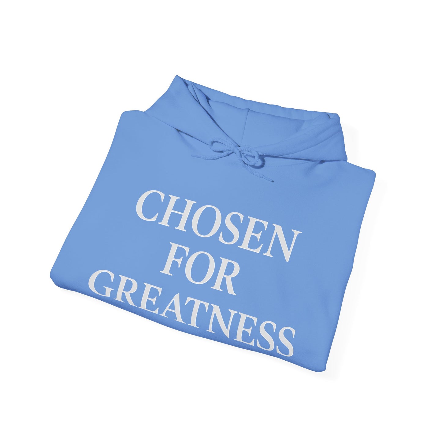 Chosen For Greatness Awakening Righteousness Hoody Apparel For Men and Women