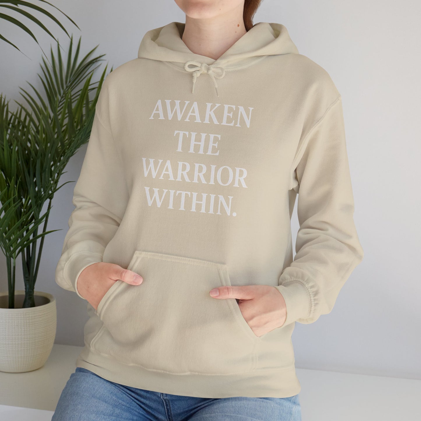 Awaken The Warrior Within Awakening Righteousness Hoody Apparel For Men and Women - Awakening Righteousness
