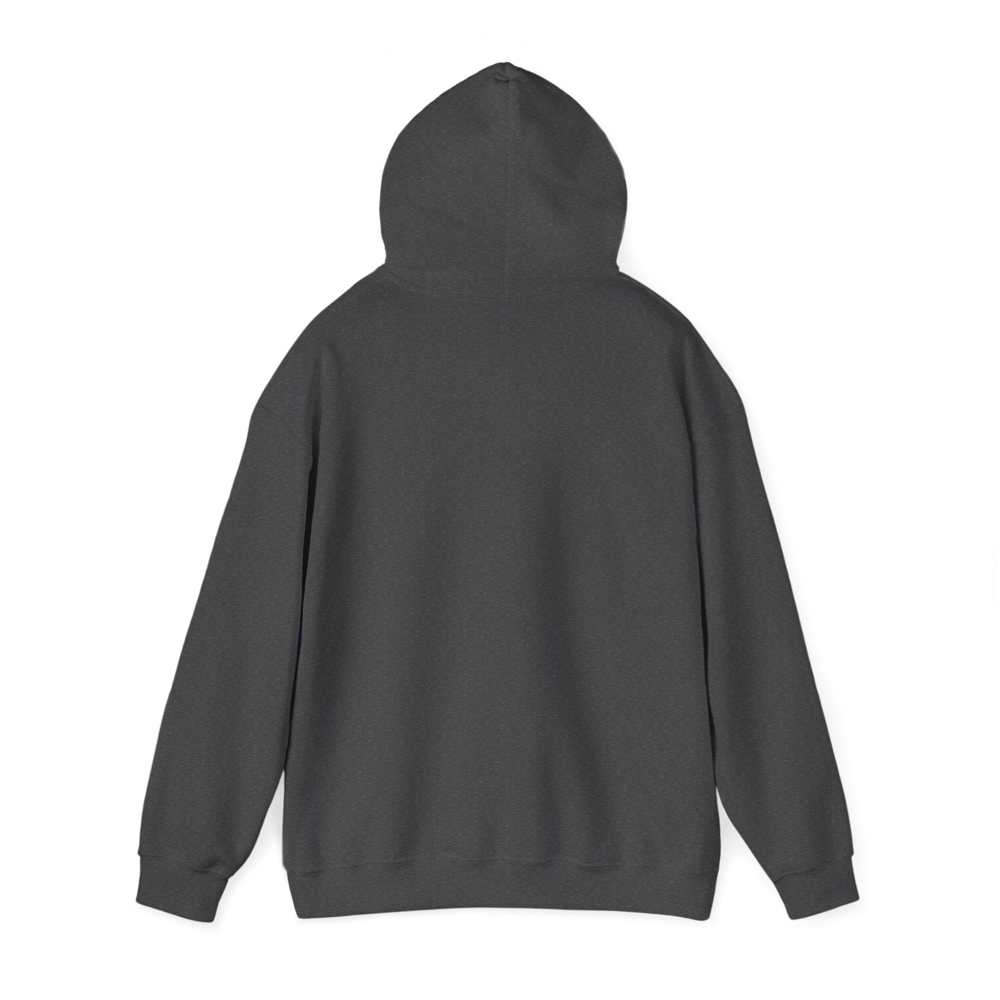 Faith Focus Strength - Awakening Righteousness Hoody Apparel For Men and Women - Awakening Righteousness