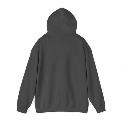 Awaken The Warrior Within Awakening Righteousness Hoody Apparel For Men and Women - Awakening Righteousness