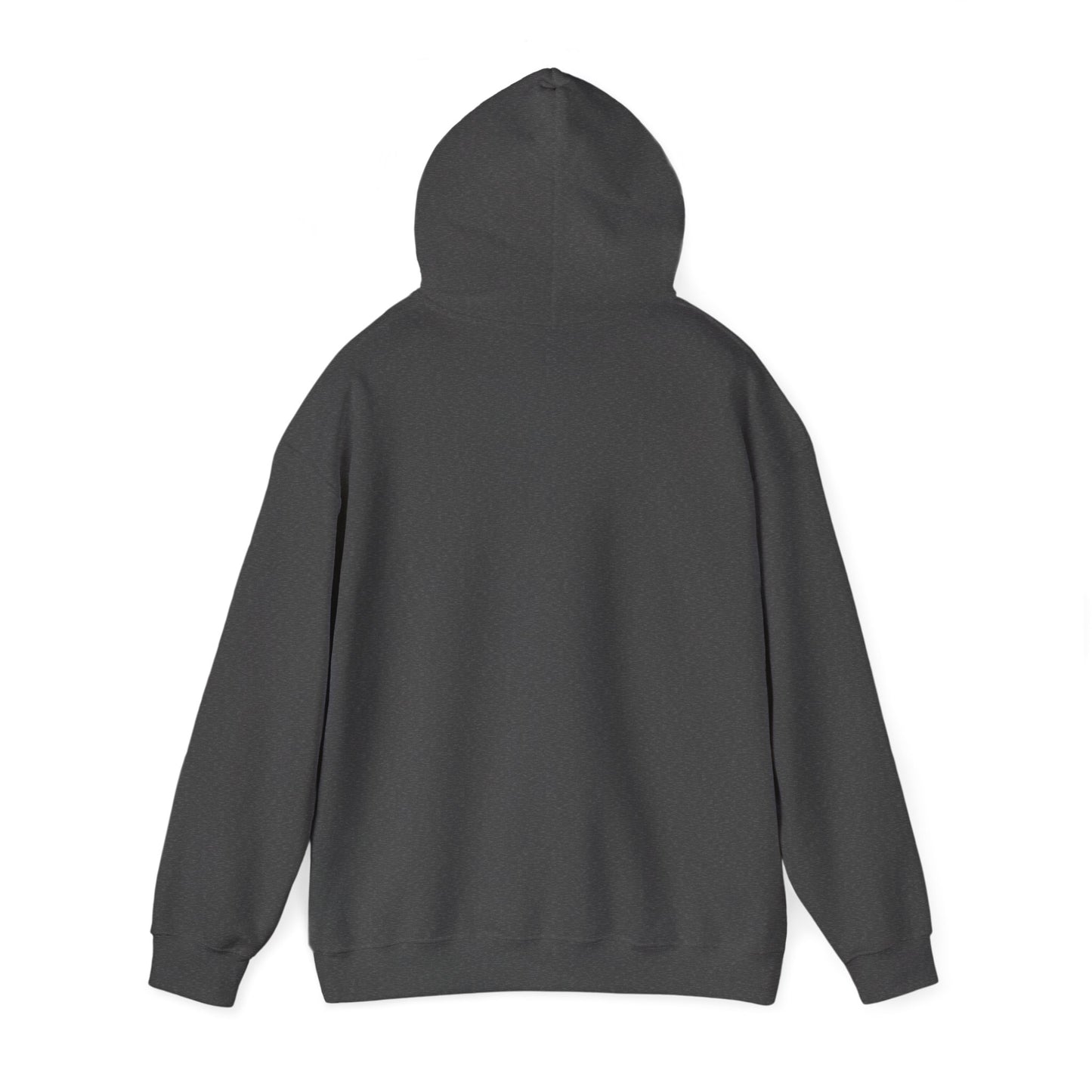 Faith Over Fear Awakening Righteousness Hoody Apparel For Men and Women