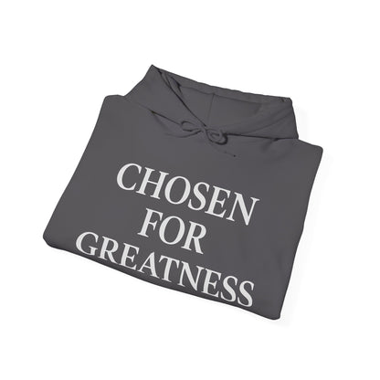 Chosen For Greatness Awakening Righteousness Hoody Apparel For Men and Women
