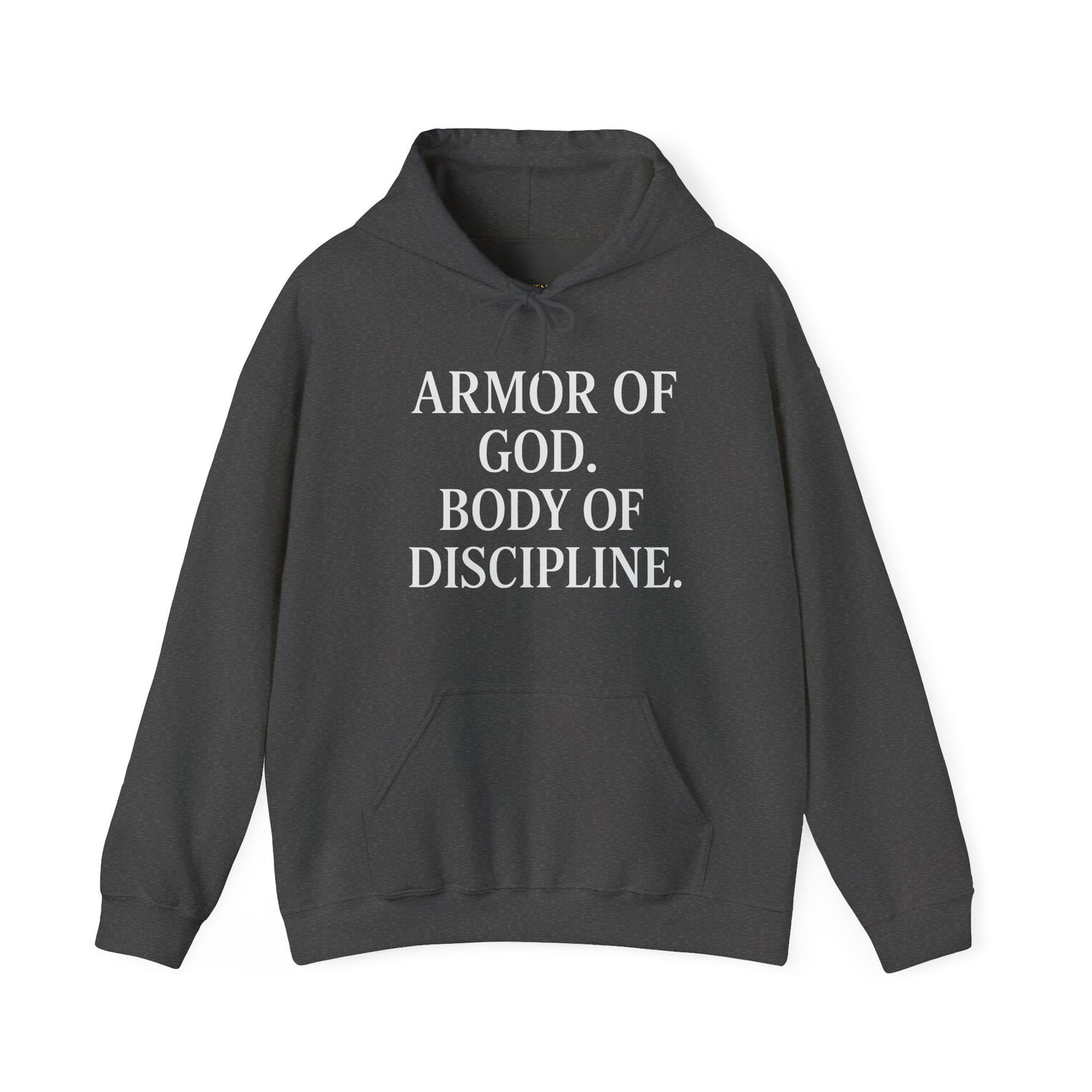 Armor Of God, Body of Discipline Awakening Righteousness Hoody Apparel For Men and Women - Awakening Righteousness