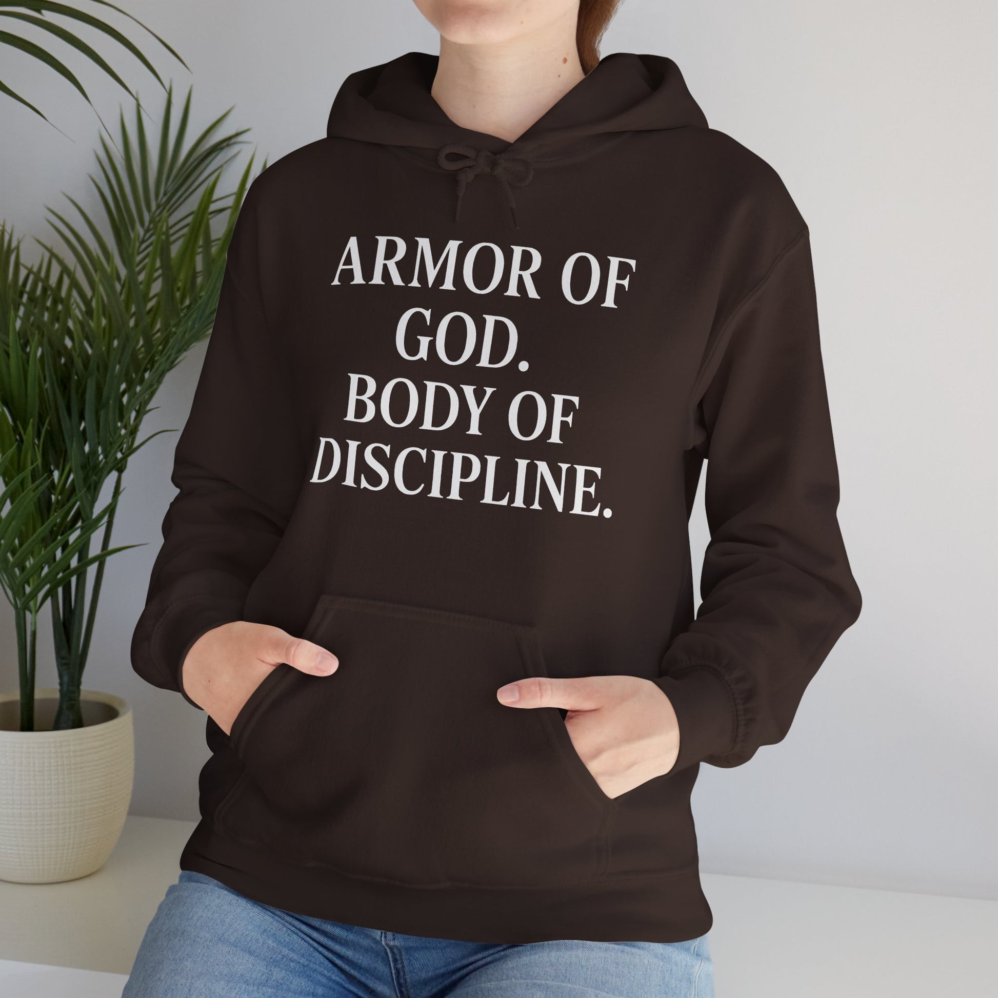 Armor Of God, Body of Discipline Awakening Righteousness Hoody Apparel For Men and Women - Awakening Righteousness