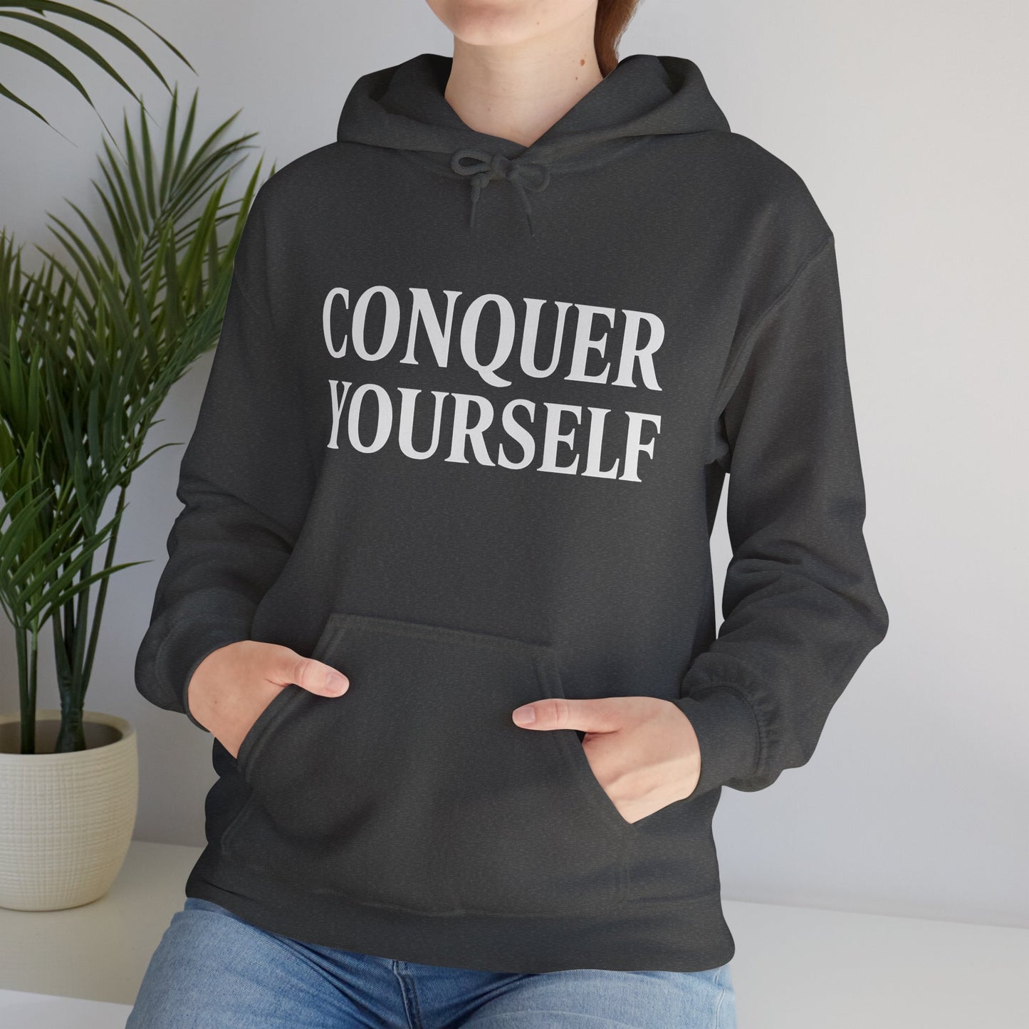 Conquer Yourself Awakening Righteousness Hoody For Men and Women - Awakening Righteousness