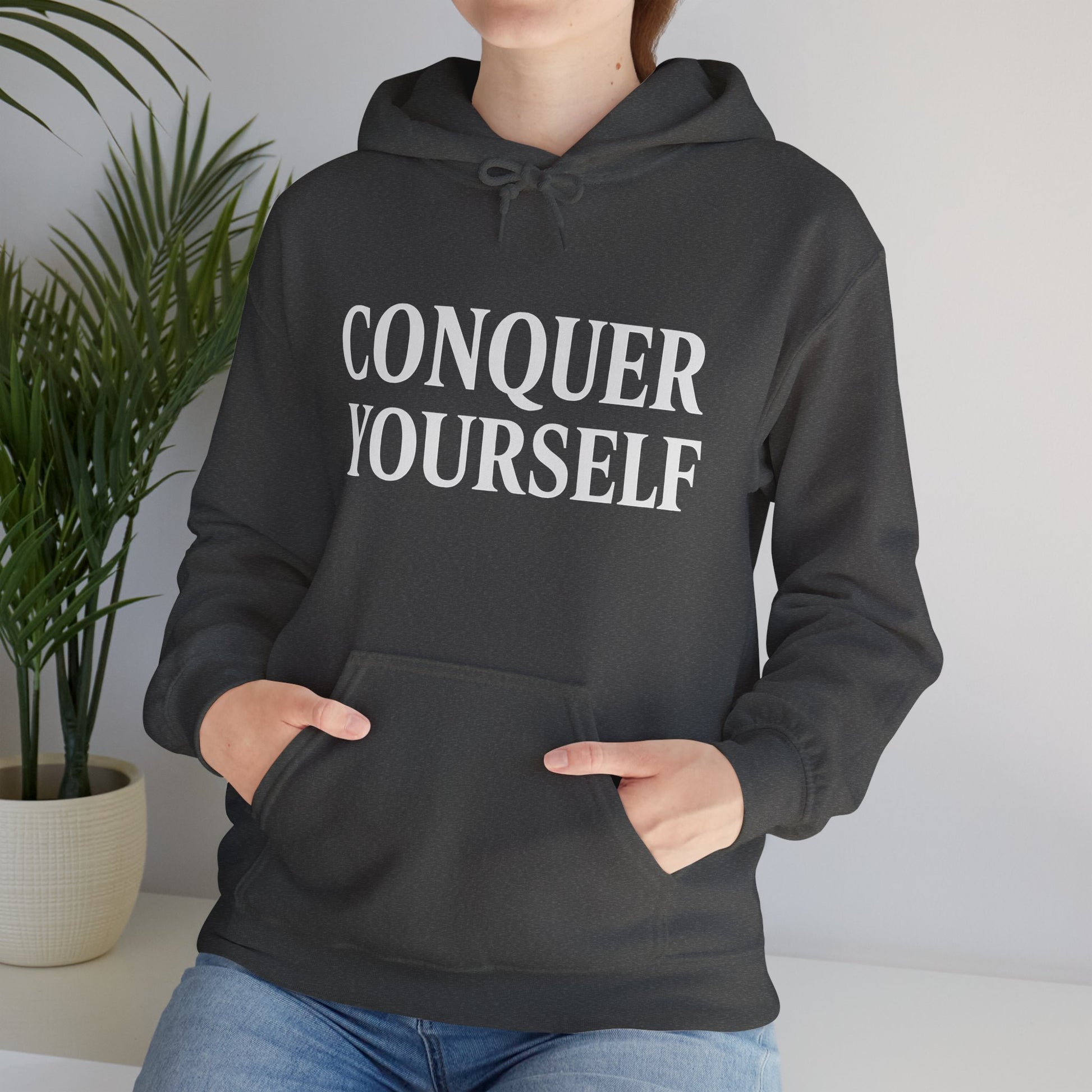 Conquer Yourself Awakening Righteousness Hoody For Men and Women - Awakening Righteousness