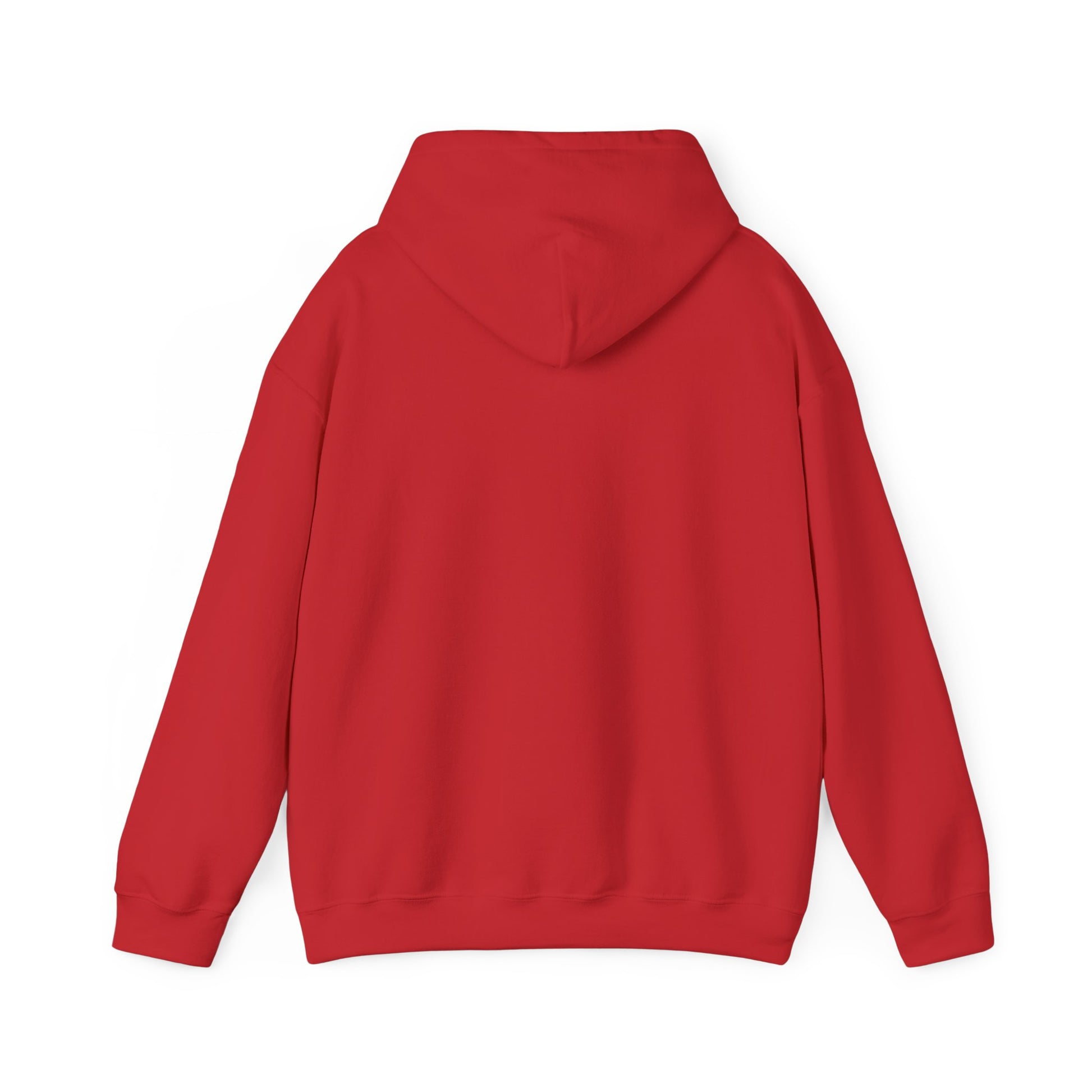 Awaken The Warrior Within Awakening Righteousness Hoody Apparel For Men and Women - Awakening Righteousness