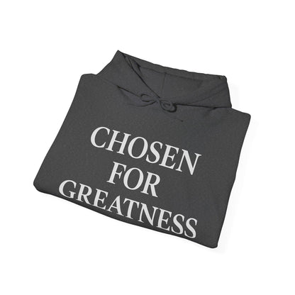 Chosen For Greatness Awakening Righteousness Hoody Apparel For Men and Women