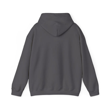 Built In His Image Awakening Righteousness Hoody Apparel For Men and Women