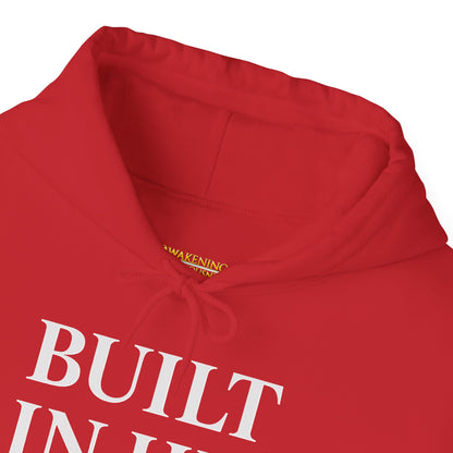 Built In His Image Awakening Righteousness Hoody Apparel For Men and Women