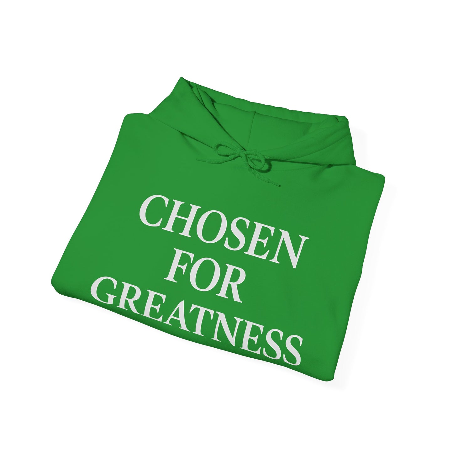Chosen For Greatness Awakening Righteousness Hoody Apparel For Men and Women