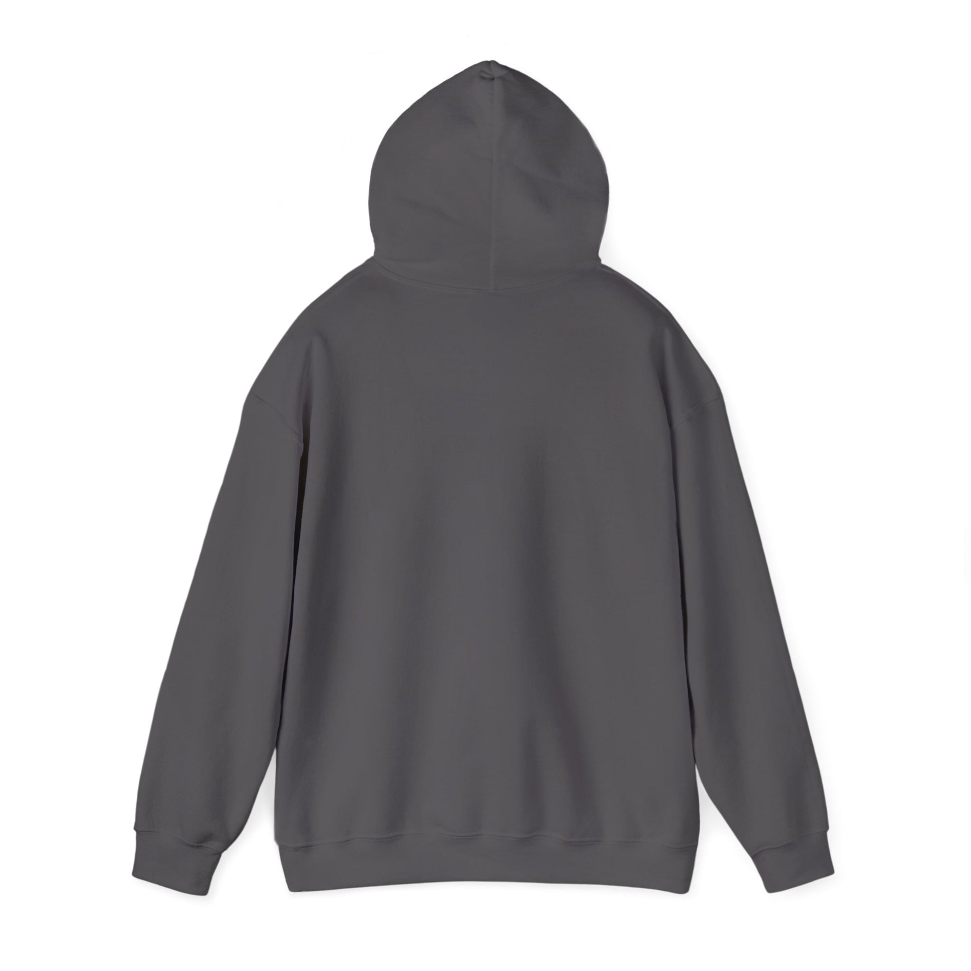 Conquer Yourself Awakening Righteousness Hoody For Men and Women - Awakening Righteousness