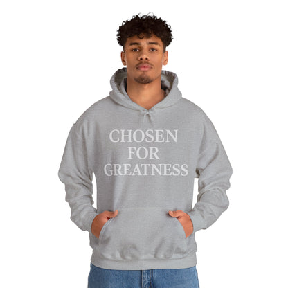 Chosen For Greatness Awakening Righteousness Hoody Apparel For Men and Women