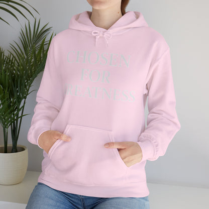 Chosen For Greatness Awakening Righteousness Hoody Apparel For Men and Women