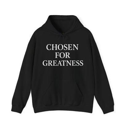 Chosen For Greatness Awakening Righteousness Hoody Apparel For Men and Women