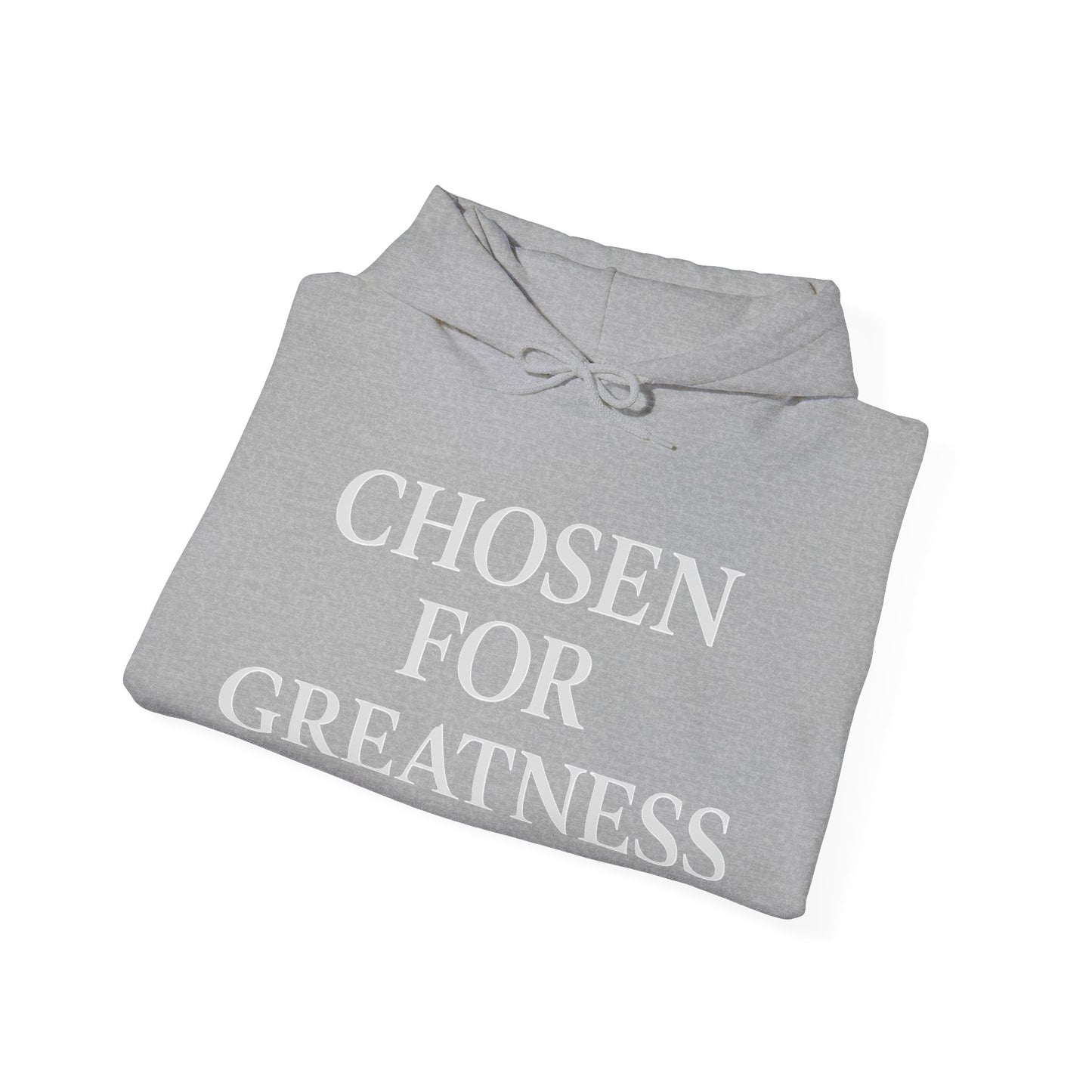 Chosen For Greatness Awakening Righteousness Hoody Apparel For Men and Women