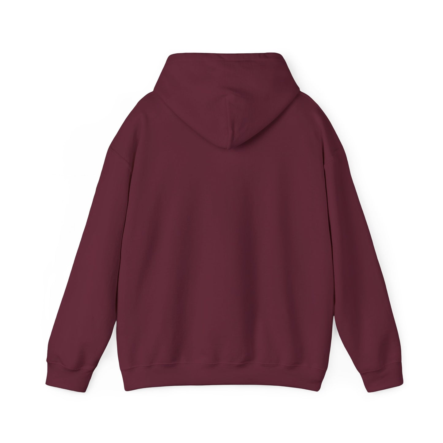 Armor Of God, Body of Discipline Awakening Righteousness Hoody Apparel For Men and Women - Awakening Righteousness