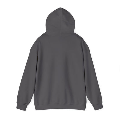 Armor Of God, Body of Discipline Awakening Righteousness Hoody Apparel For Men and Women - Awakening Righteousness