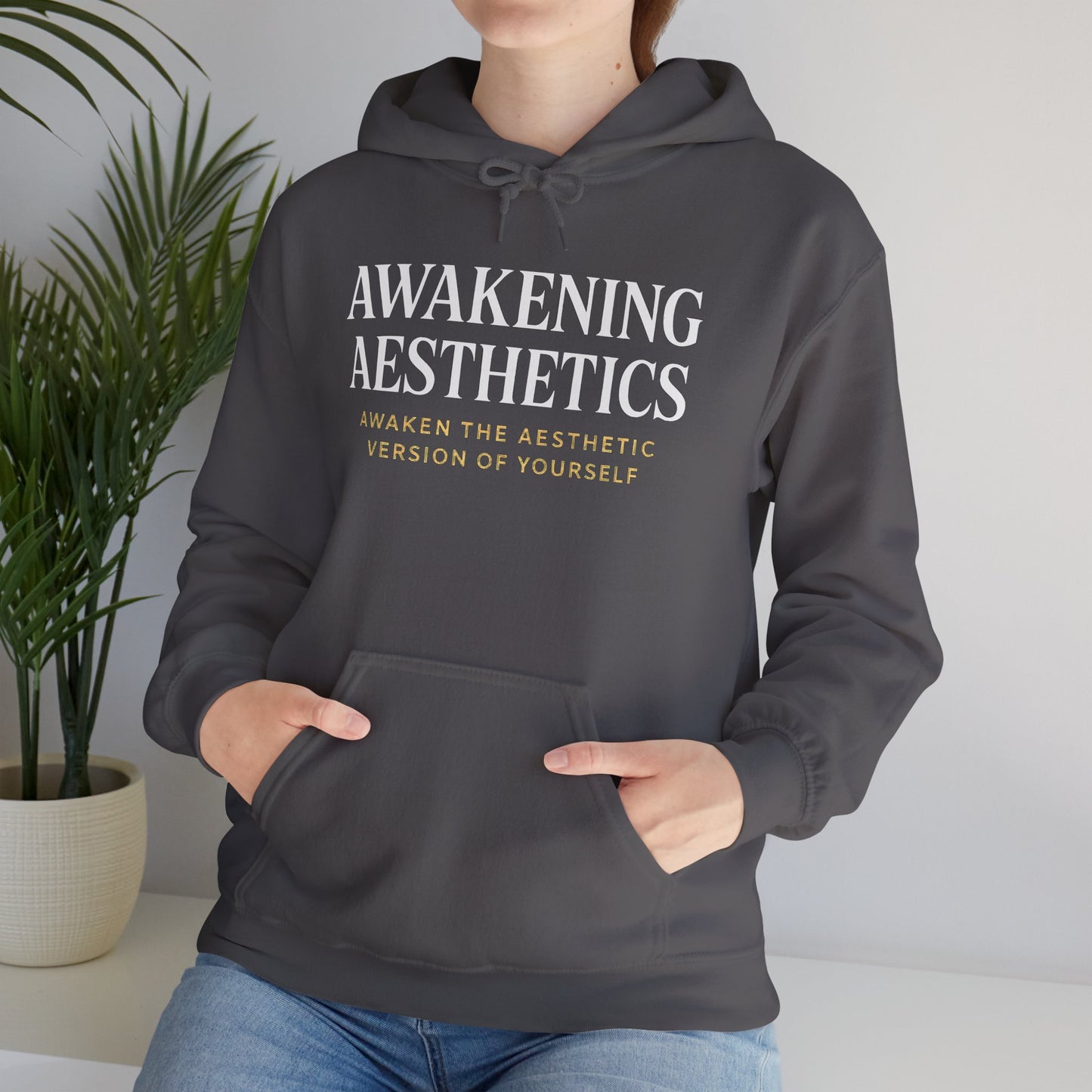 Awakening Aesthetics Bodybuilding Hoodie - Awakening Righteousness