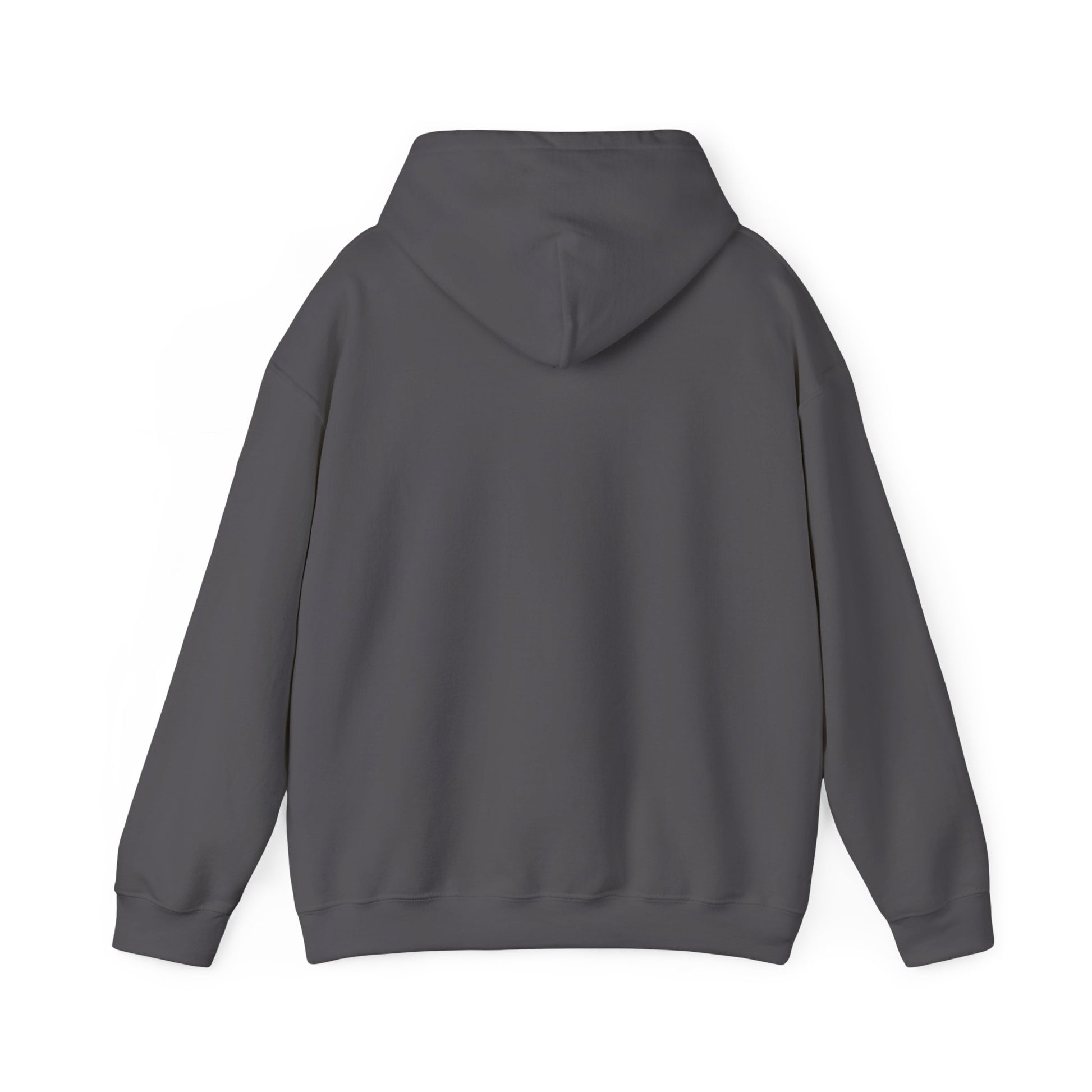 Discipline Awakening Aesthetics Hooded Sweatshirt - Awakening Righteousness