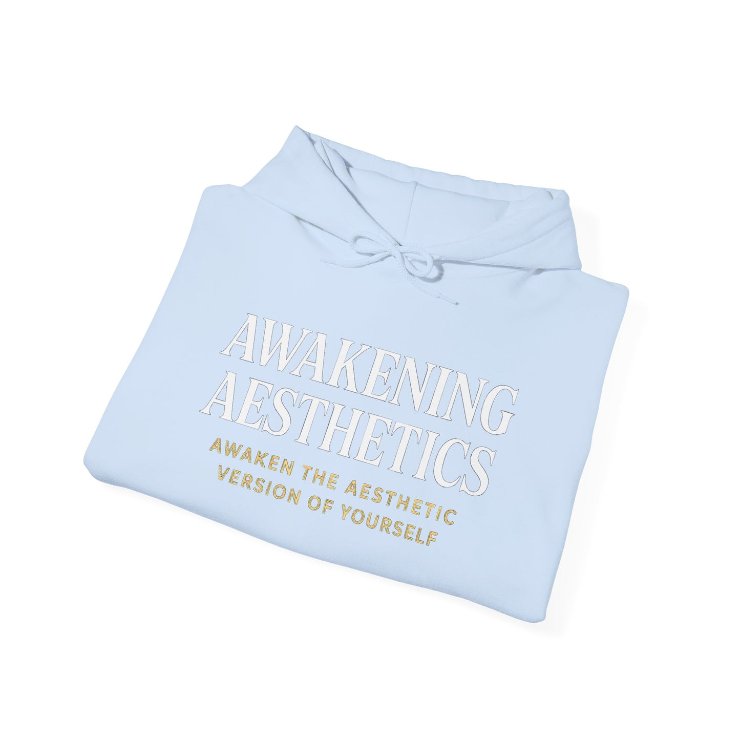 Awakening Aesthetics Bodybuilding Hoodie - Awakening Righteousness