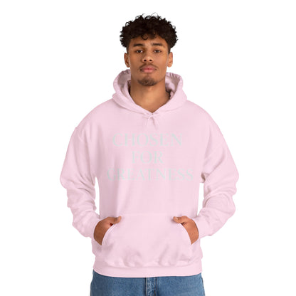 Chosen For Greatness Awakening Righteousness Hoody Apparel For Men and Women
