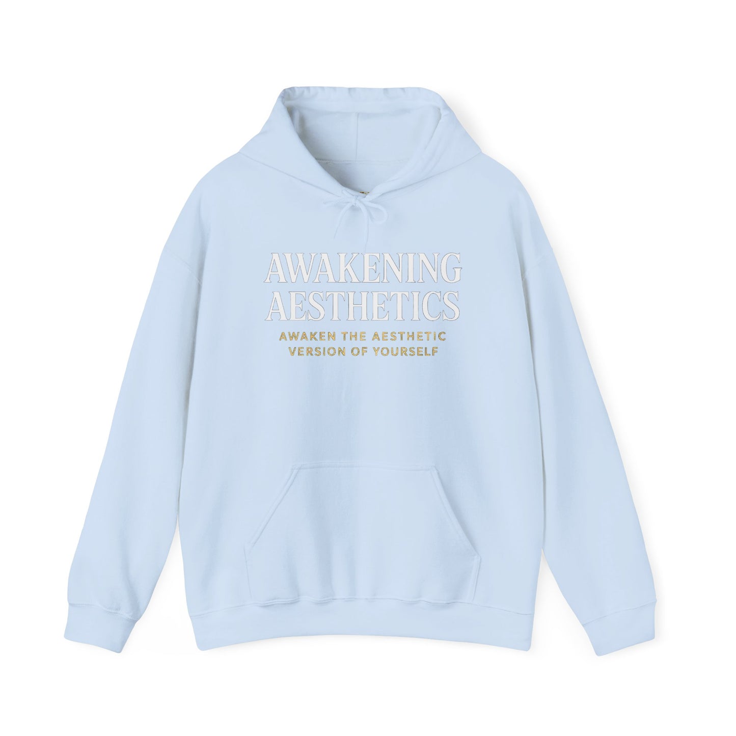 Awakening Aesthetics Bodybuilding Hoodie - Awakening Righteousness