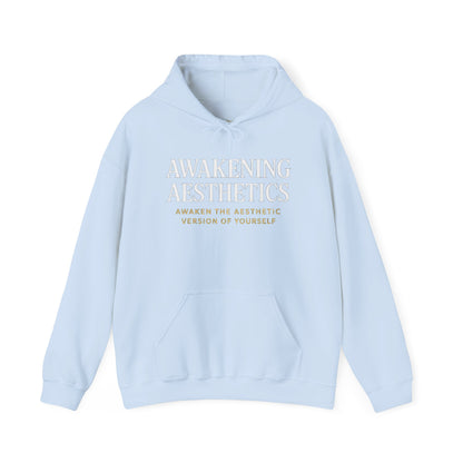 Awakening Aesthetics Bodybuilding Hoodie - Awakening Righteousness