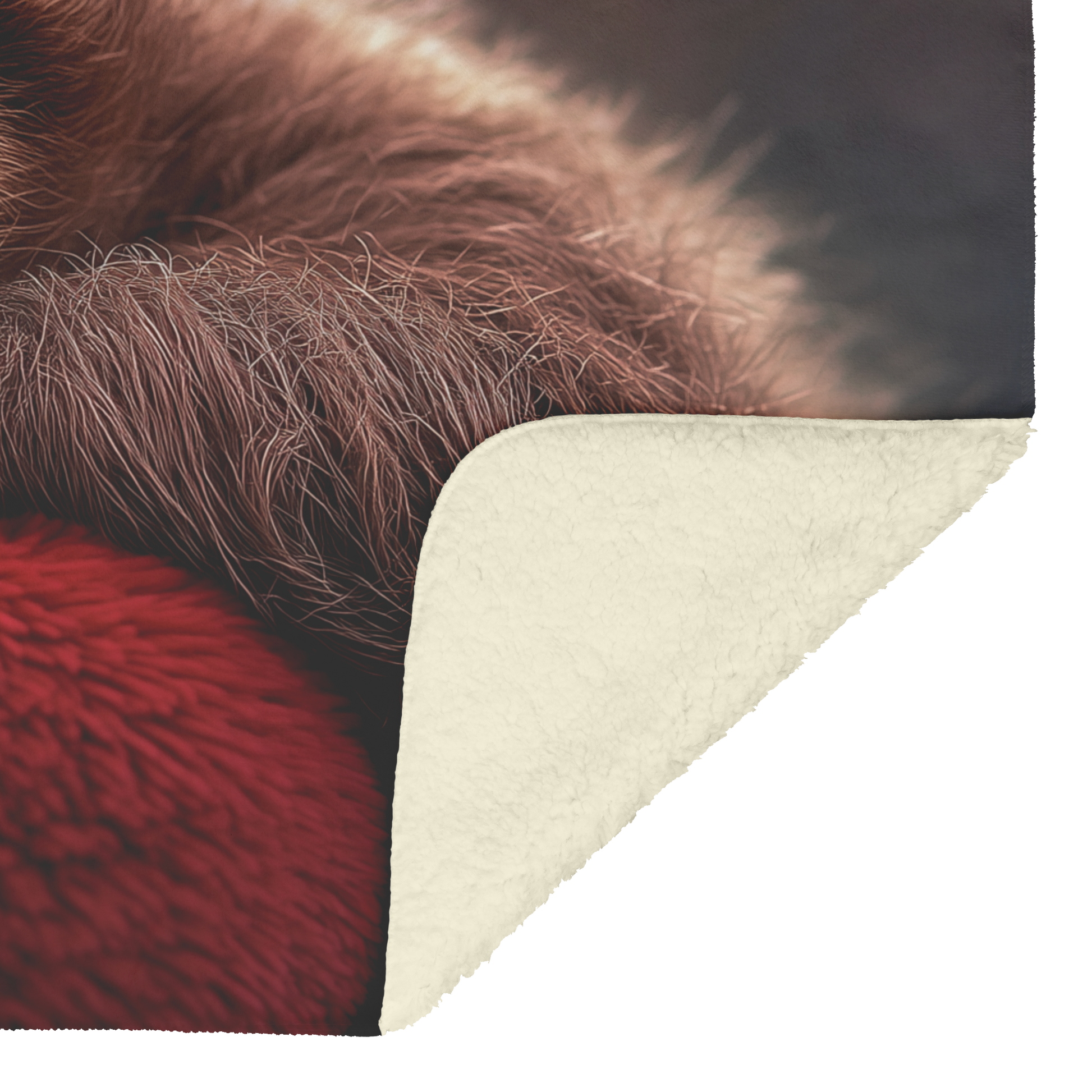 Baby_Sloth_Hugging_Plush_Heart_Pillow_Fu_H_Blanket_Sherpa_Mockup.png_15350499