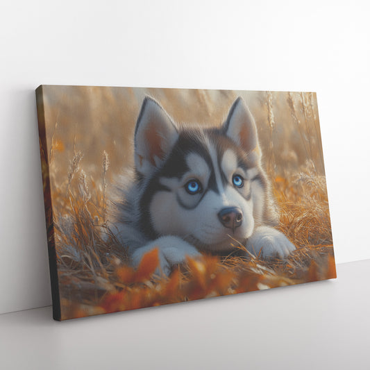 Beautiful Baby Husky with Blue Eyes Lying in Golden Autumn Grasses Canvas Wall Art - Awakening Righteousness