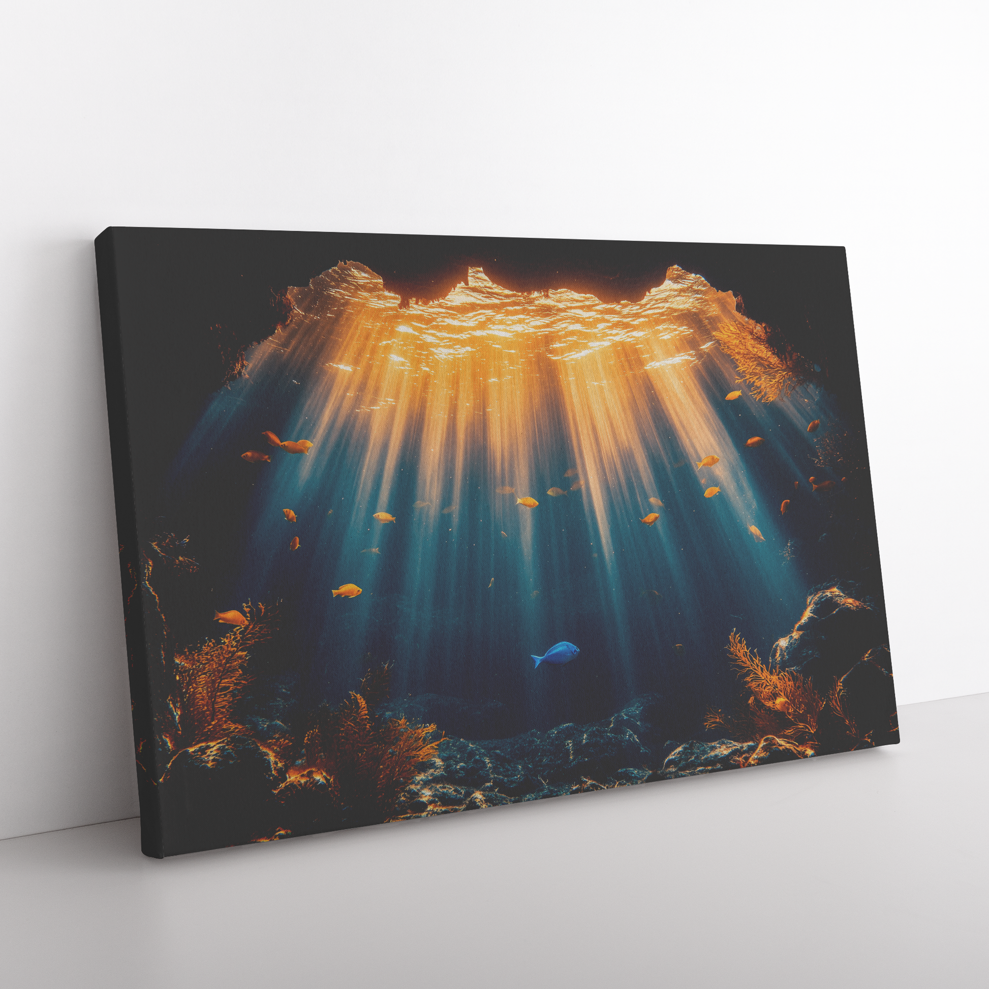 Blue_Tang_Silhouetted_Against_Glowing_Un_H_Rectangle_Angle_Floor_Mockup.png