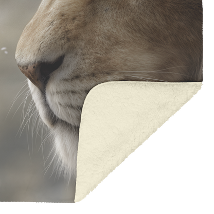 Close_Up_Lamb_Looking_Into_Lion_Eyes_Wit_H_Blanket_Sherpa_Mockup.png